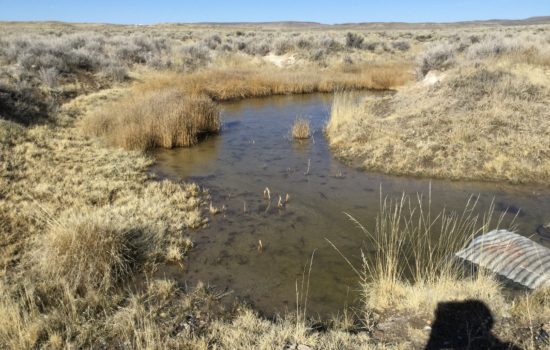 10 Acres of socially distanced property in Elko County, Nevada