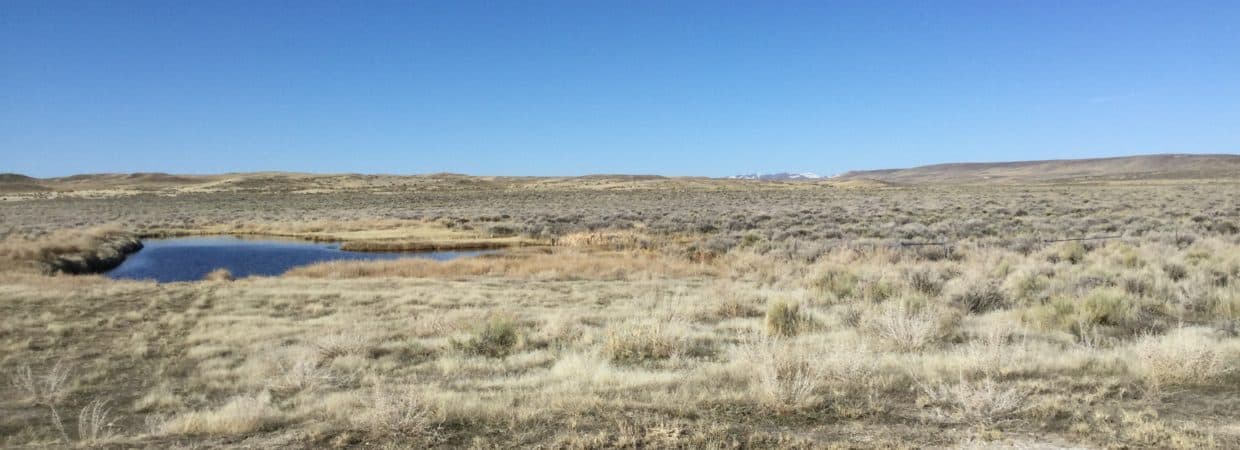Live the Dream on this 30 Acre Property in Elko County, Nevada!